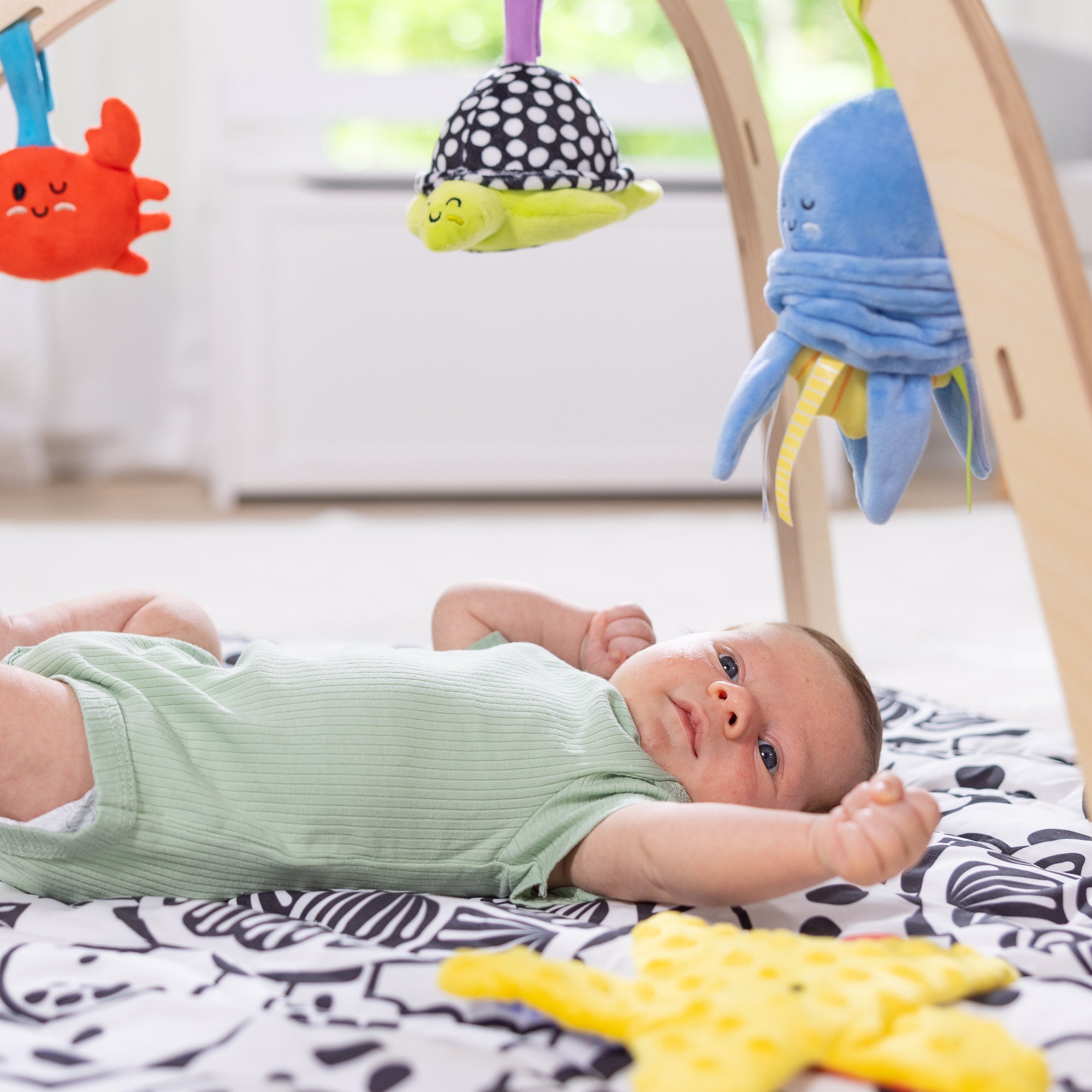 Ocean Easy-Fold Play Gym - Image 6