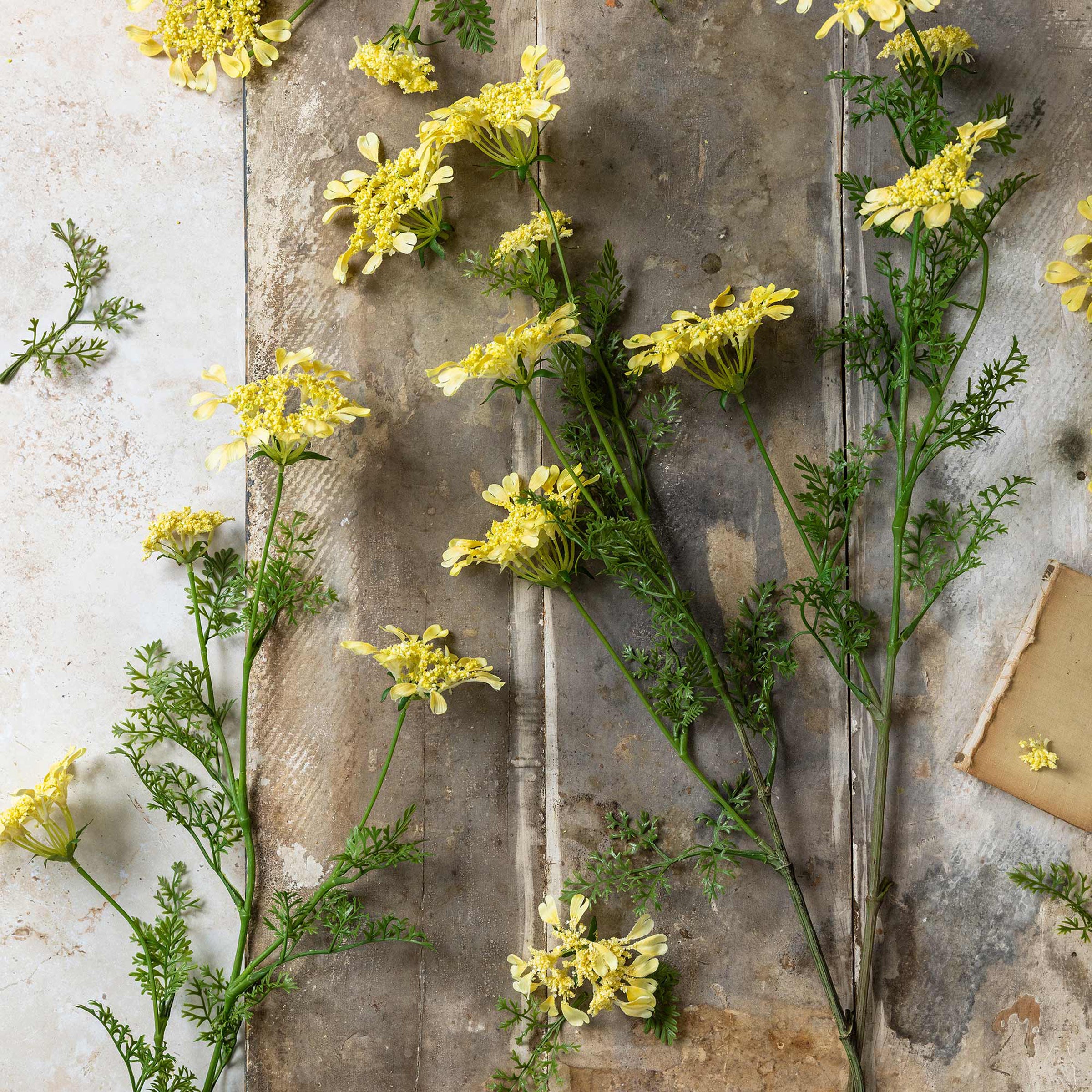 Artificial Wild Dill Stem - Image 4