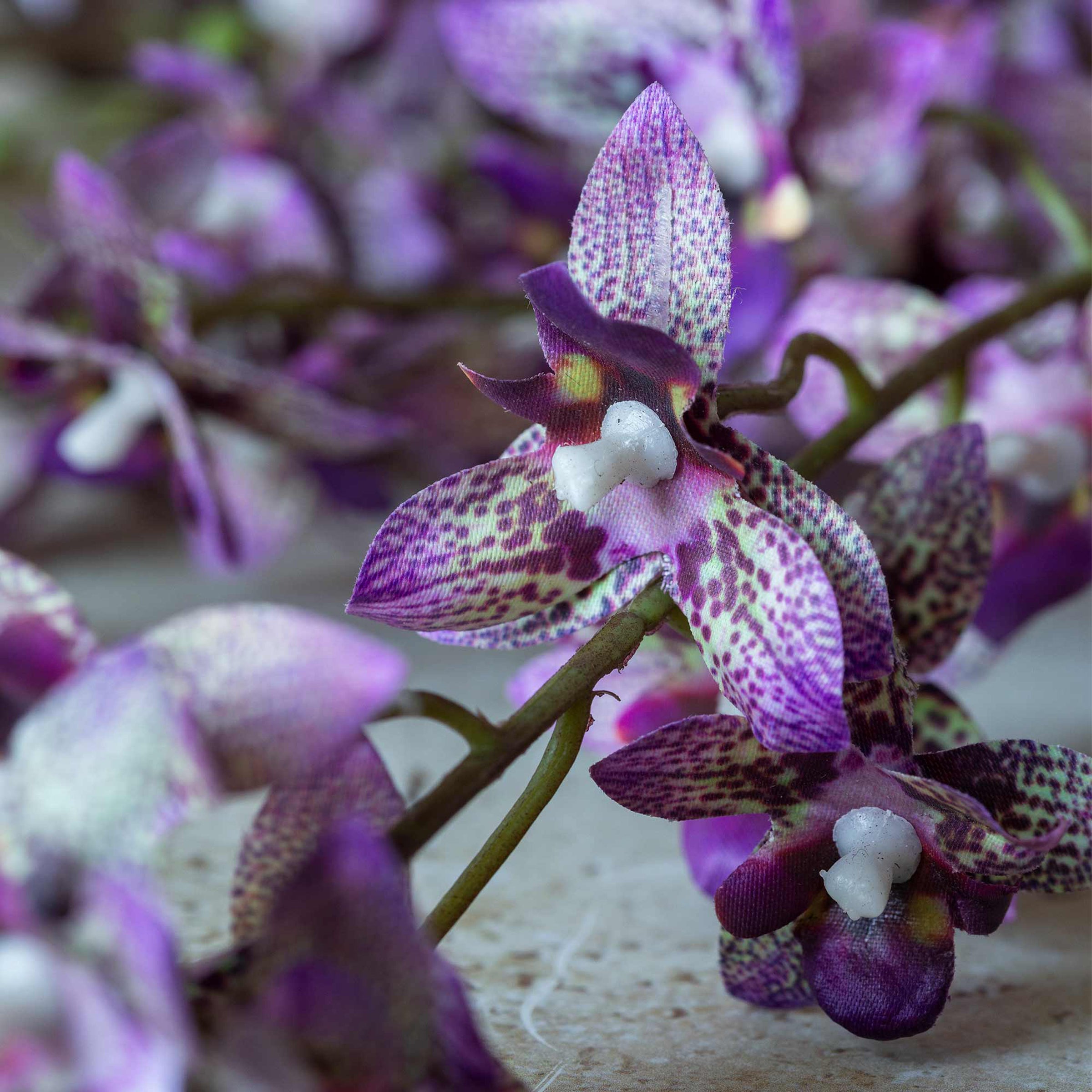Artificial Oncidium Orchid Stem - Image 4