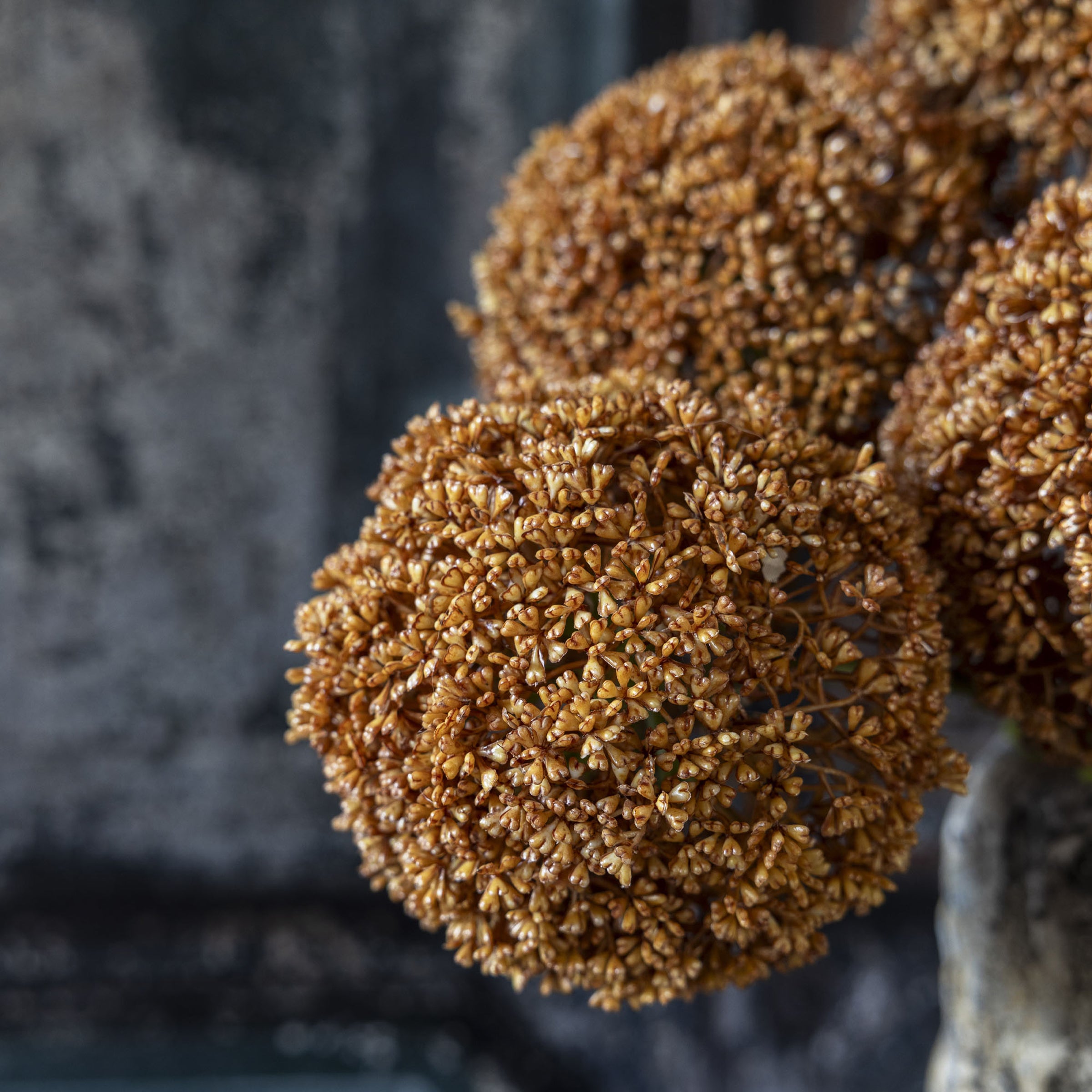 Artificial Umber Allium Stem - Image 3