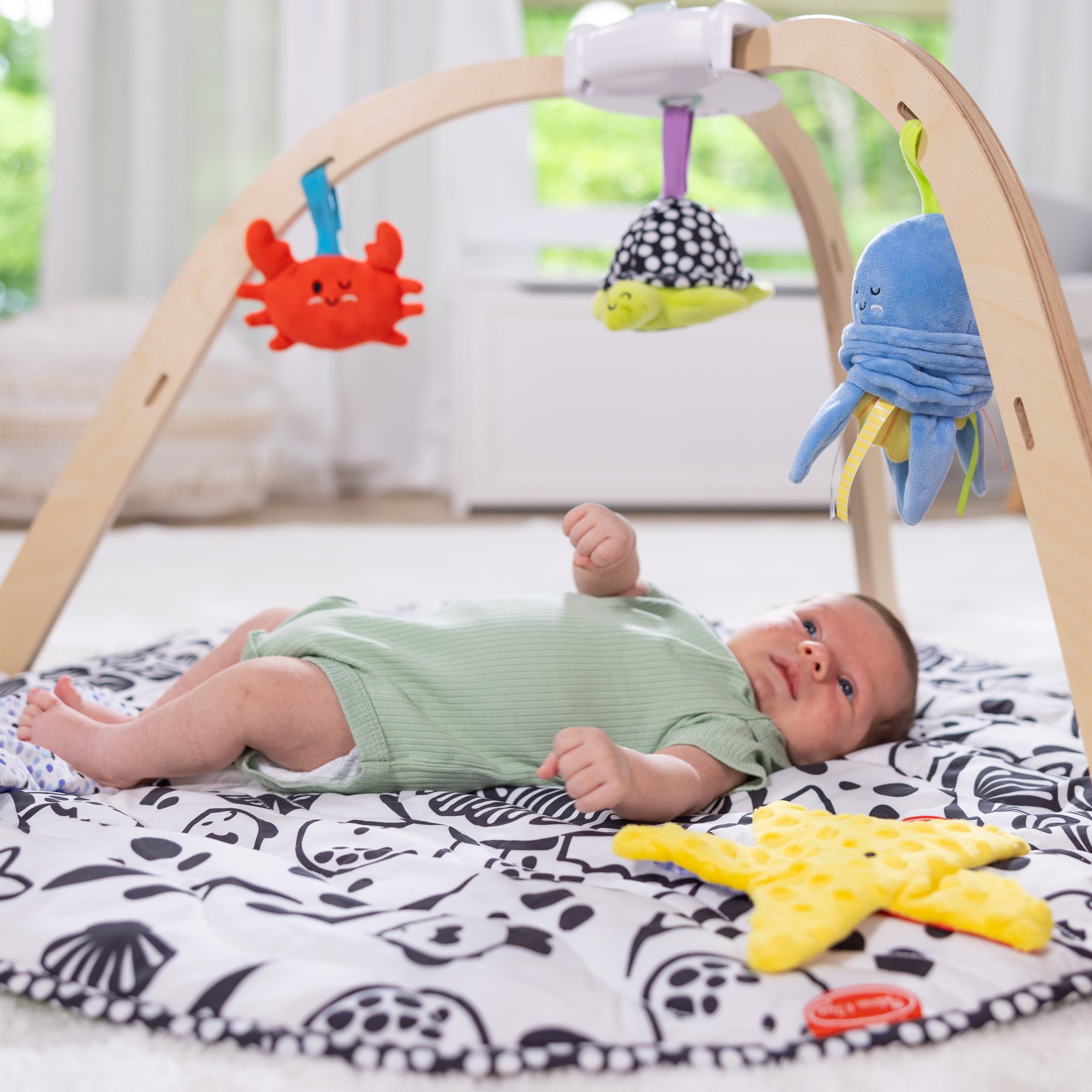 Ocean Easy-Fold Play Gym - Image 7